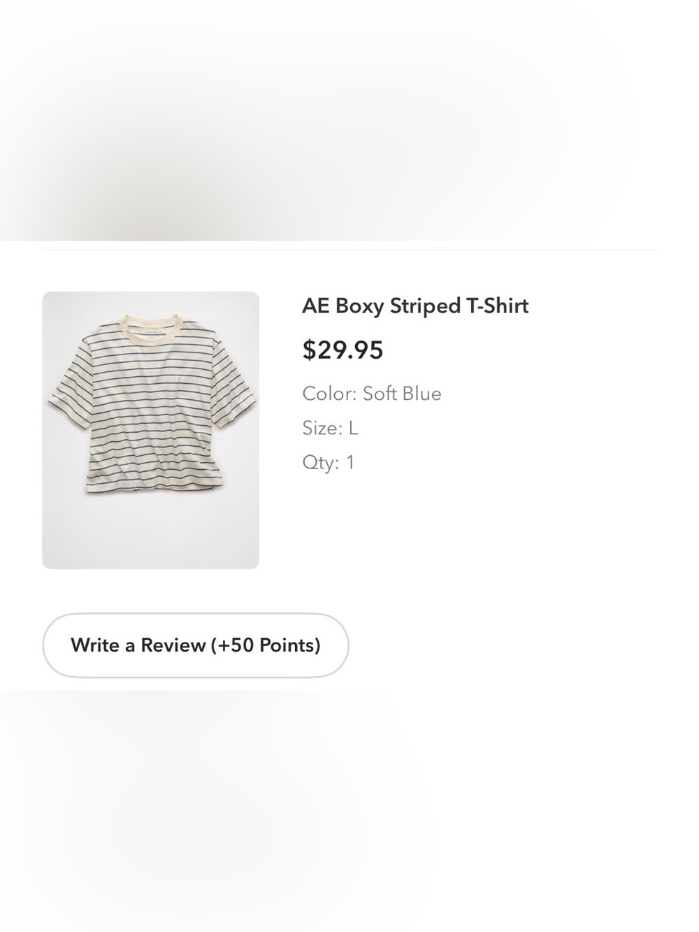 American Eagle Outfitters Boxy Stripe Tee in Soft Blue and Cream NWT